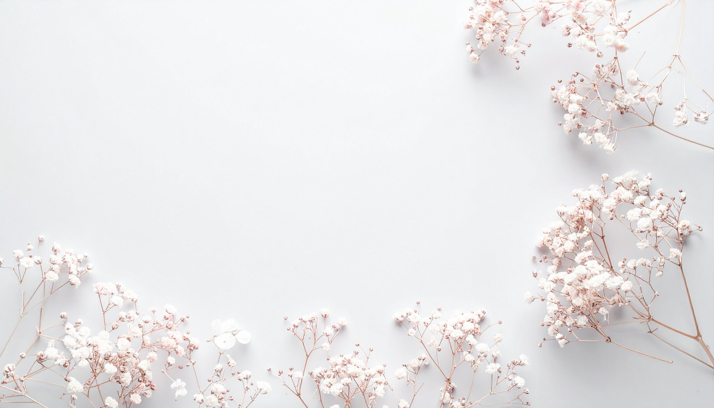 Harbor Crown Interior